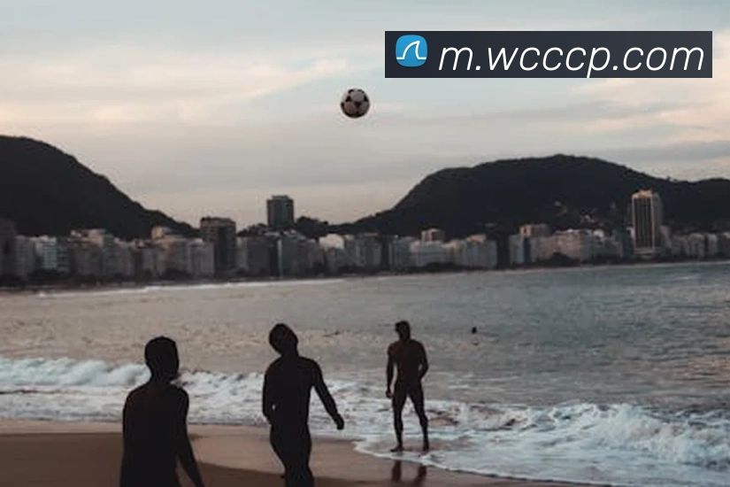 多媒体互动体验